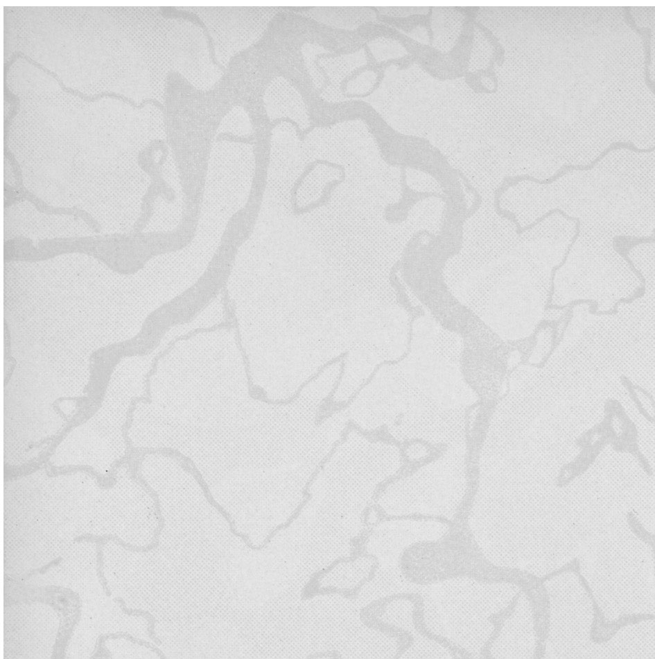 کاشی آسیا